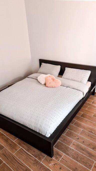 Douce Fragrance 4 Couchages Wifi Daire Grasse Dış mekan fotoğraf